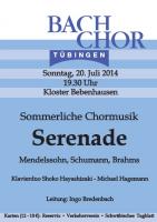 Serenade (Schumann, Brahms, Mendelssohn)