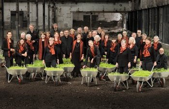 Schönhausen-Chor Krefeld