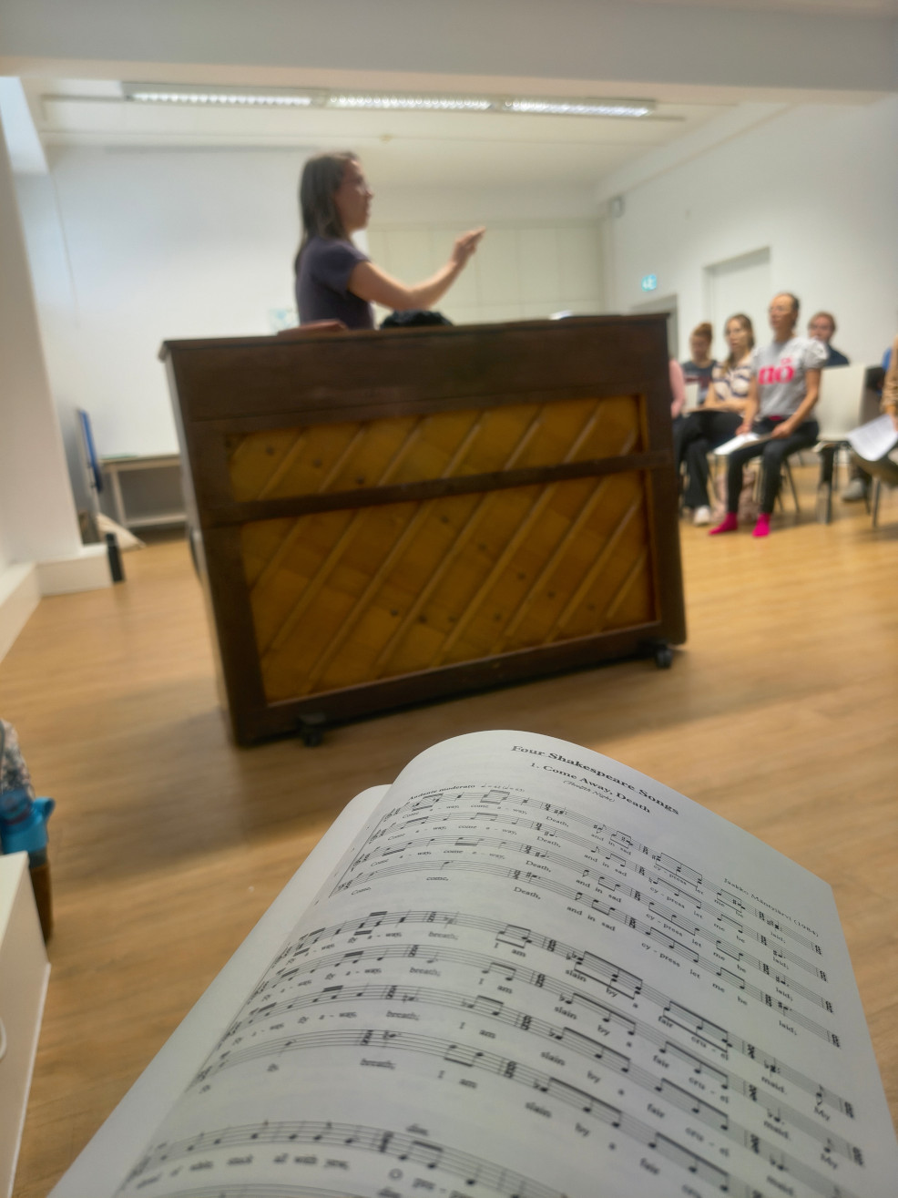 Foto: Judith Mohr übernahm die musikalische Leitung des Workshops (Ralf Schöne)