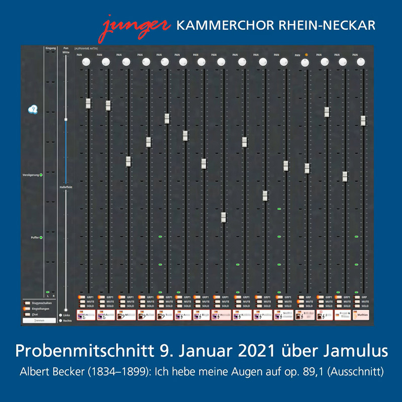 Foto: Proben mit Jamulus (Screenshot Video)