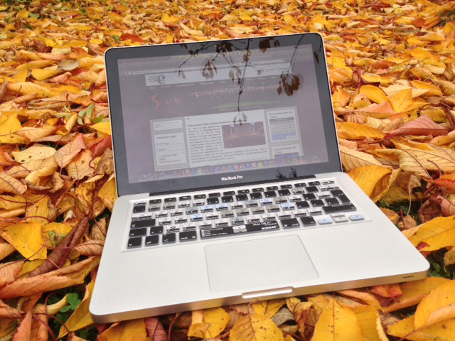 Virtuelle Mitgliederversammlung - Praktikabel?