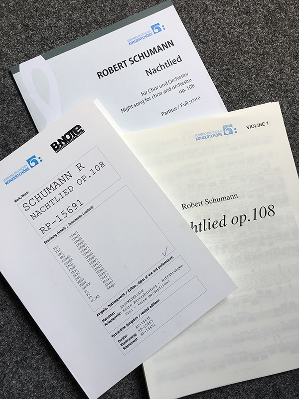 Foto: Robert Schumann: Nachtlied (Katrin Petlusch)