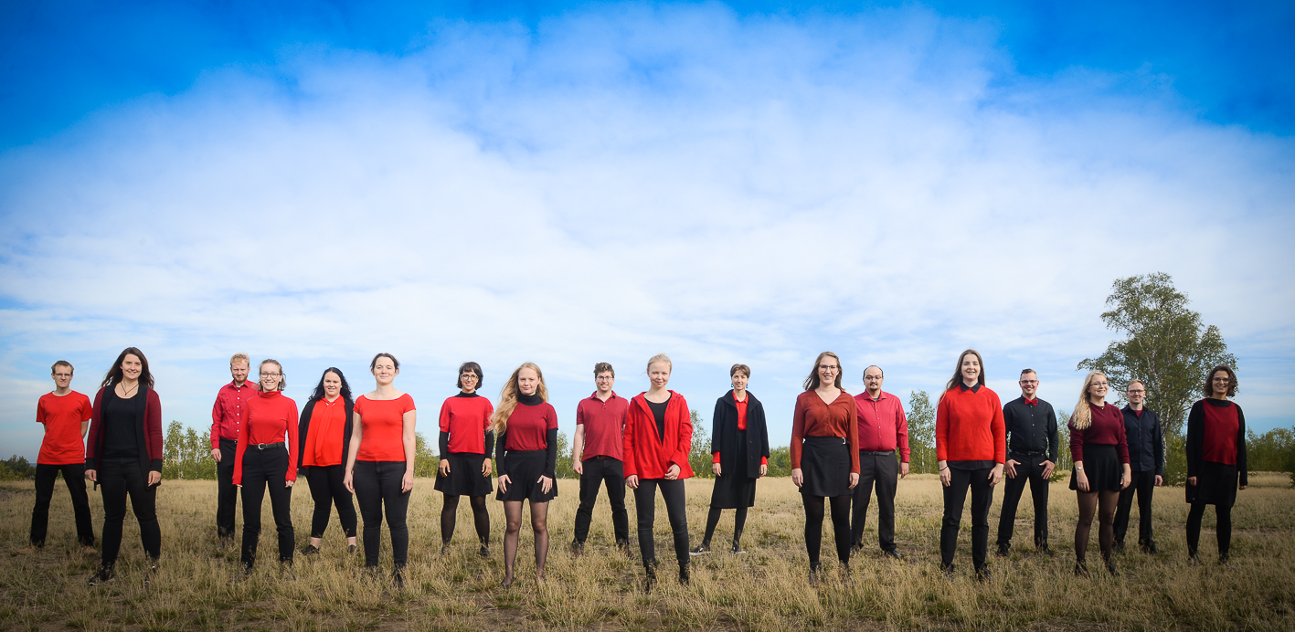 Voice Dance Freiberg